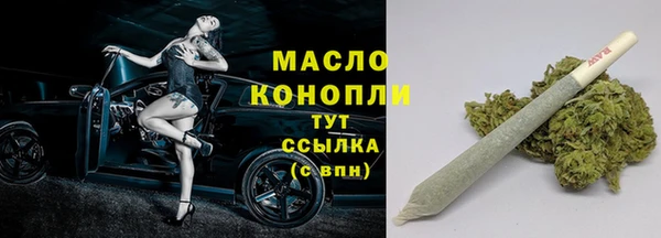 индика Семёнов