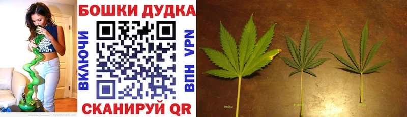 ОМГ ОМГ   Урай  Бошки Шишки тримм 